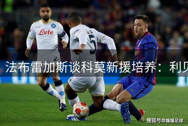 法布雷加斯谈科莫新援培养：利贝拉里渐入佳境 莫拉塔需用表现说话